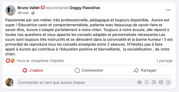 Avis client Doggy Pawsitive dans l’Allier