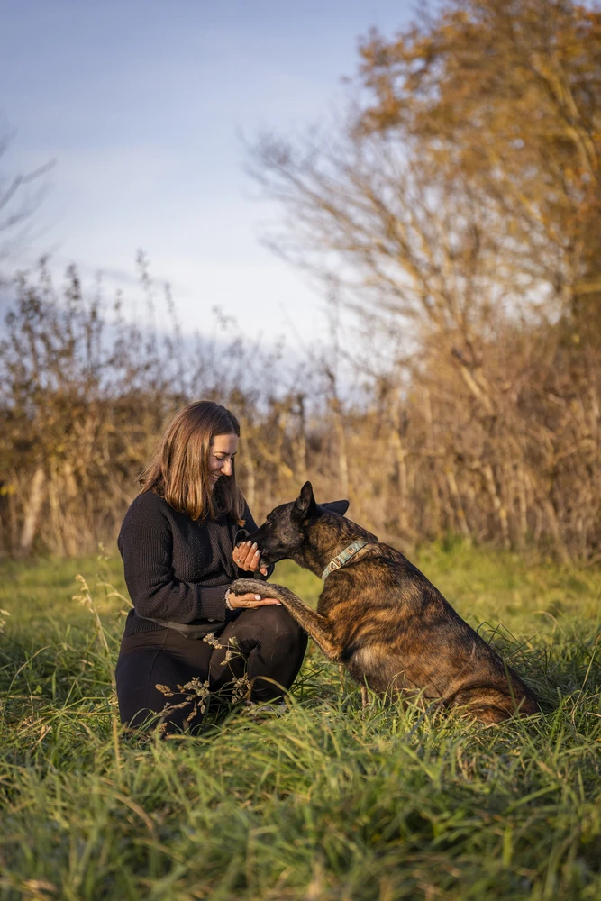 Éducatrice canine près d’Ebreuil