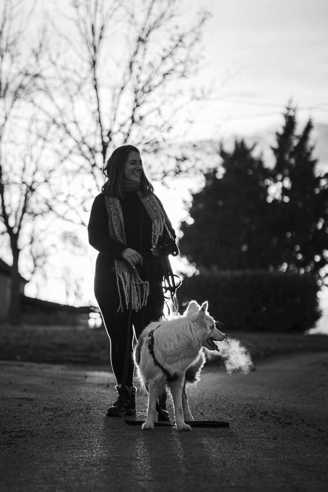 Balade de chien à Coutansouze
