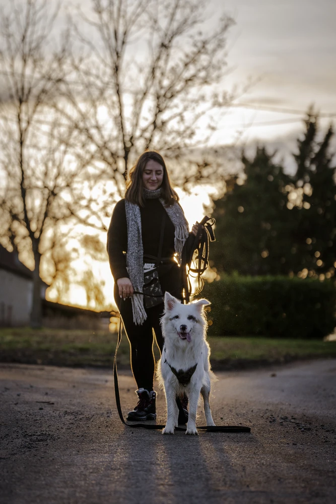 Accompagnement d’un chien réactif dans l’Allier