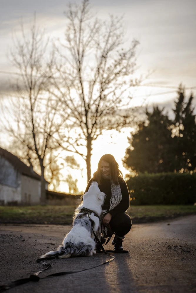 Bilan comportemental chien à Coutansouze